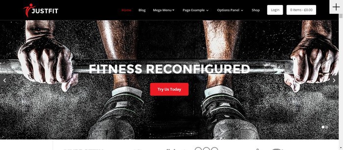 12 JustFit Theme 