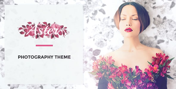 aster wp theme
