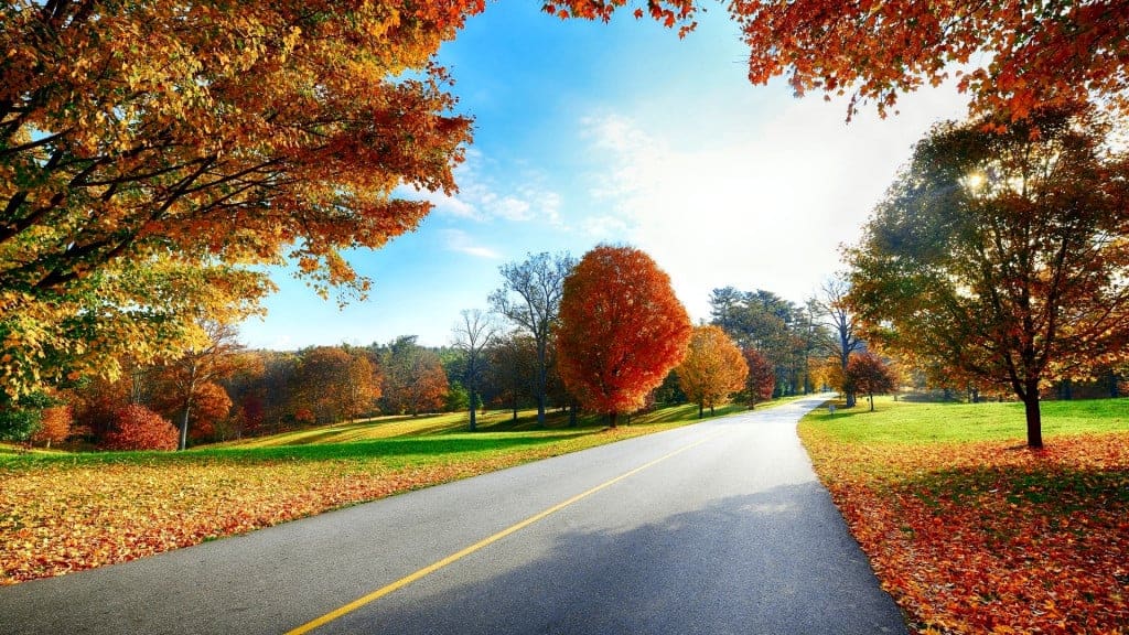 Beautiful autumn road scenery wallpapers