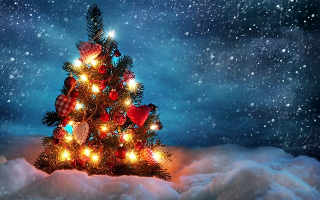 beautiful_christmas_tree-1280x800