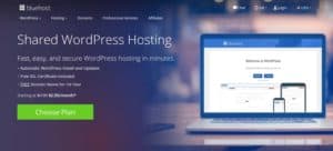 Bluehost-best web hosting