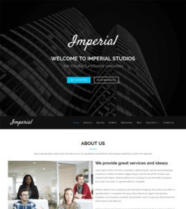 Imperial WP Theme