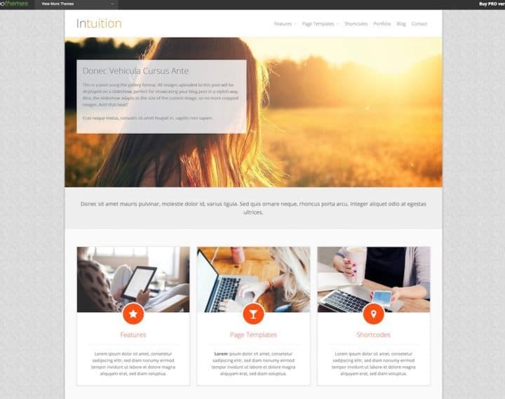 intuition-free-news website template