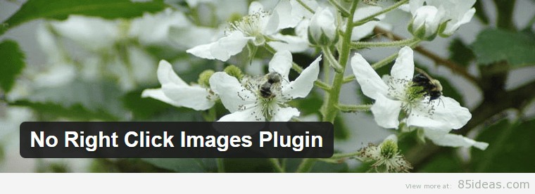 No Right Click Images Plugin