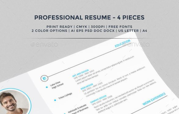 Professional Resume Themeforest