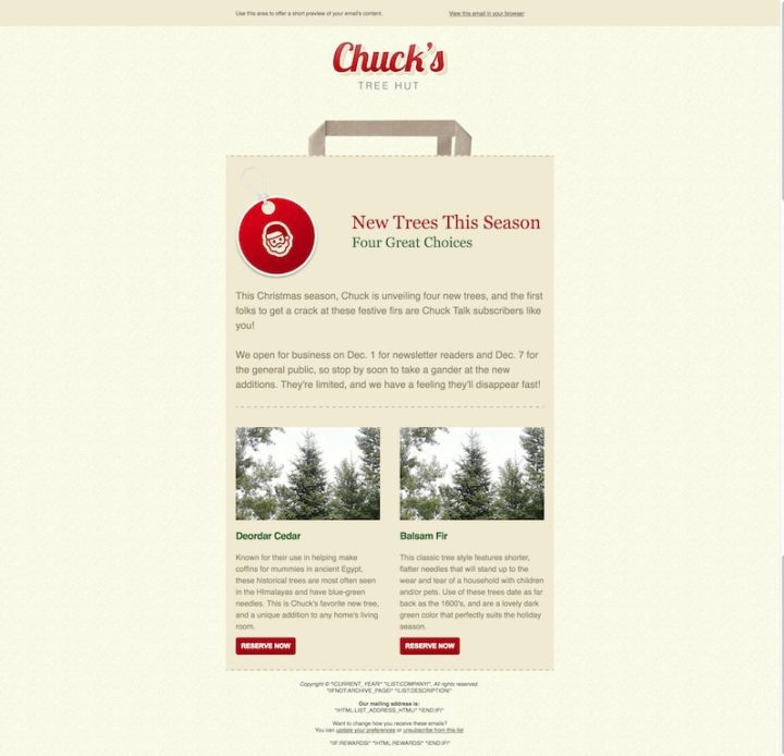 Shopping-Bag MailChimp email template