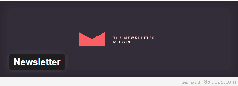 Newsletter Plugin