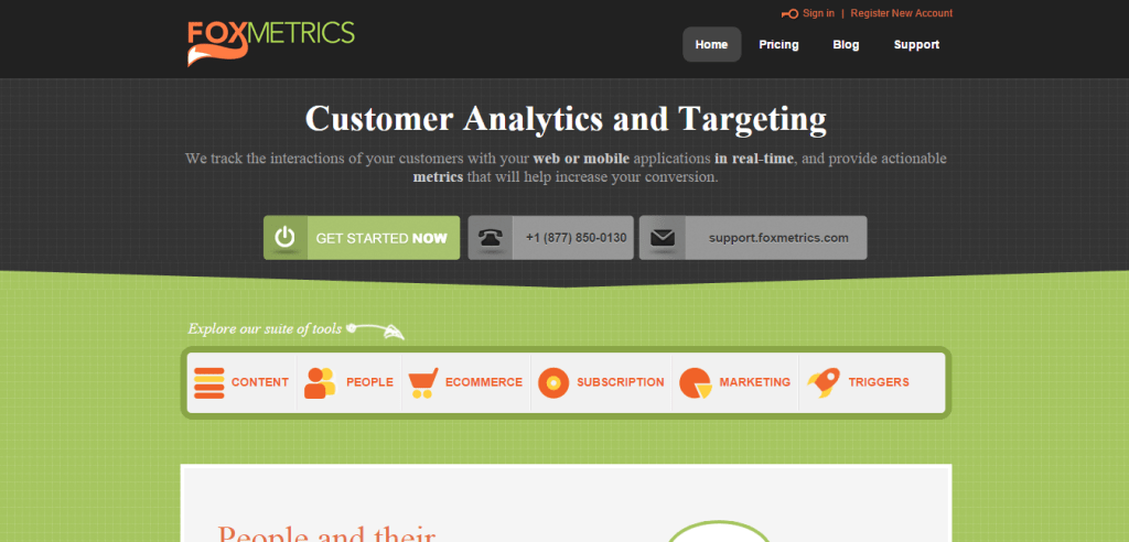 Web Analytics FoxMetrics