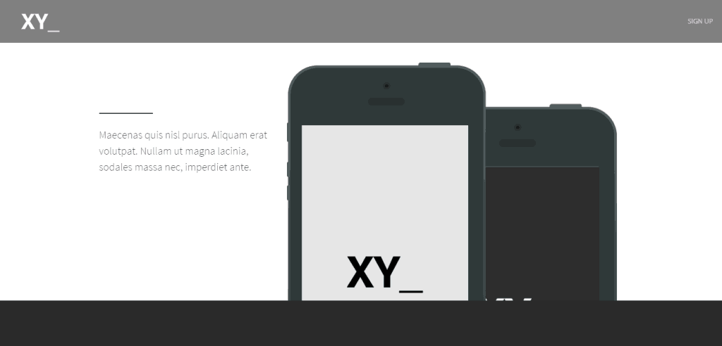XY Landing Page theme